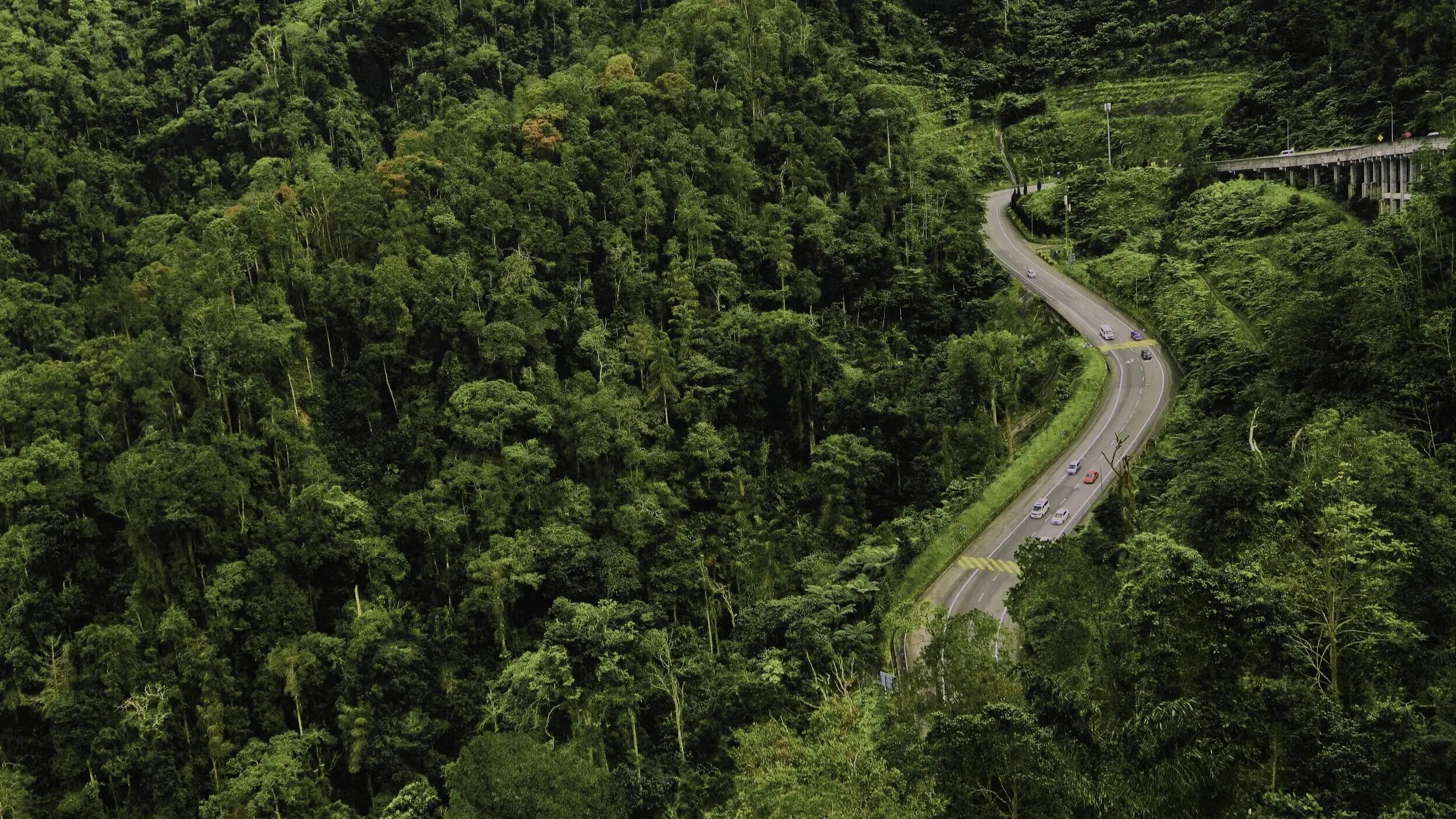 A winding road through a dense forest with a bridge on the right. Vehicles can be seen traveling on the road. The photo appears to be taken from a high vantage point.